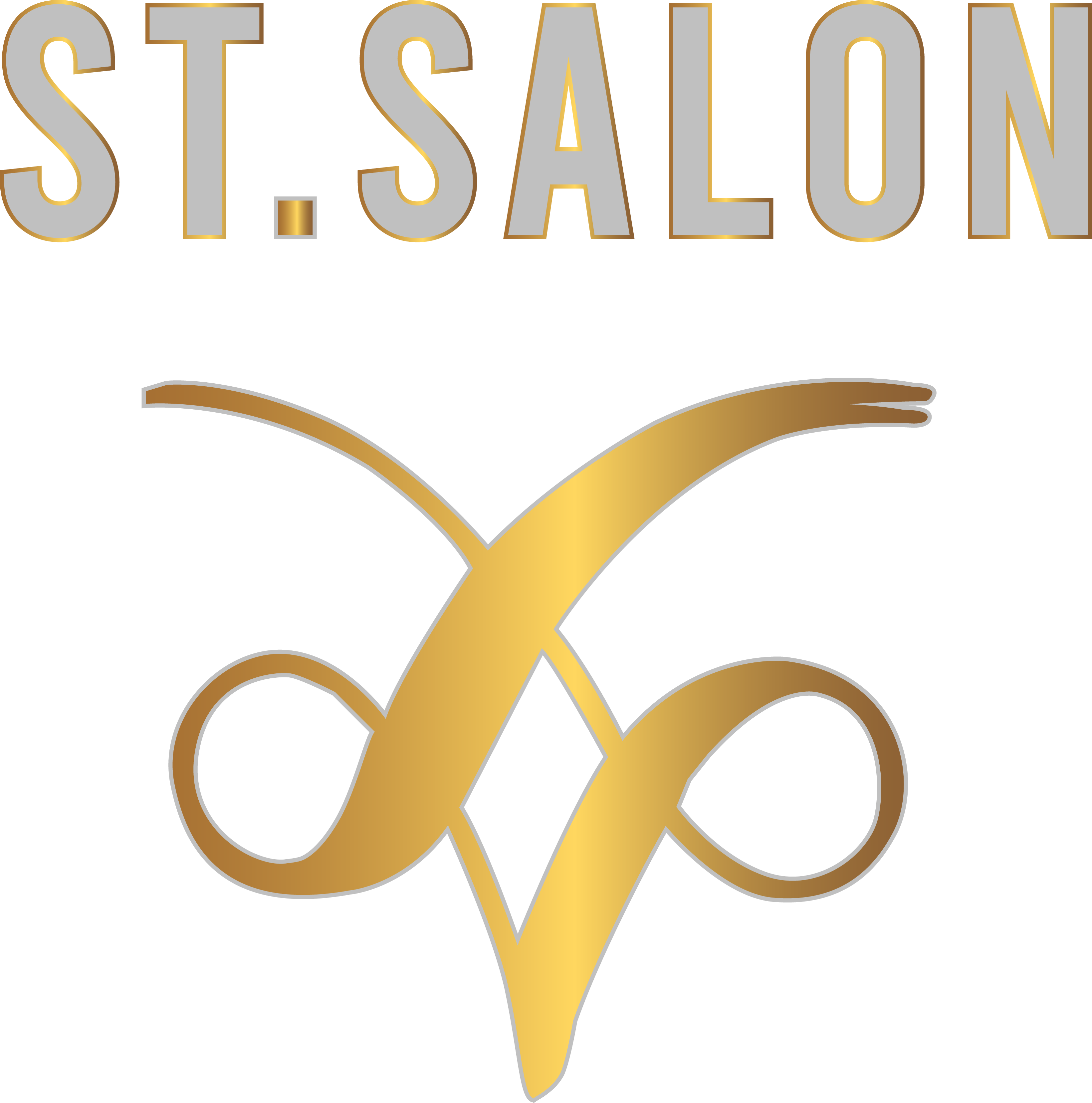 St Salon Logo
